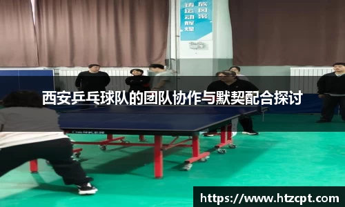 西安乒乓球队的团队协作与默契配合探讨